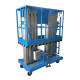 Двухмачтовый подъемник PROLIFT GTWY10-200 AC/DC